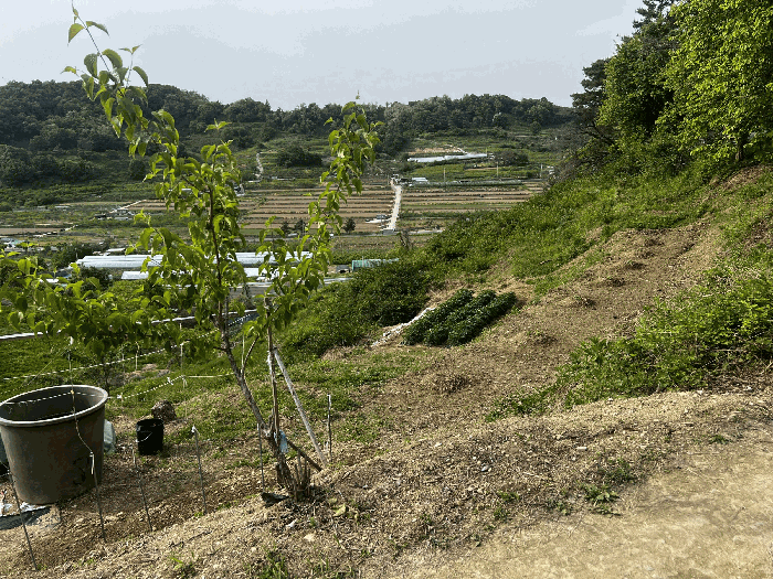 물건 사진 15