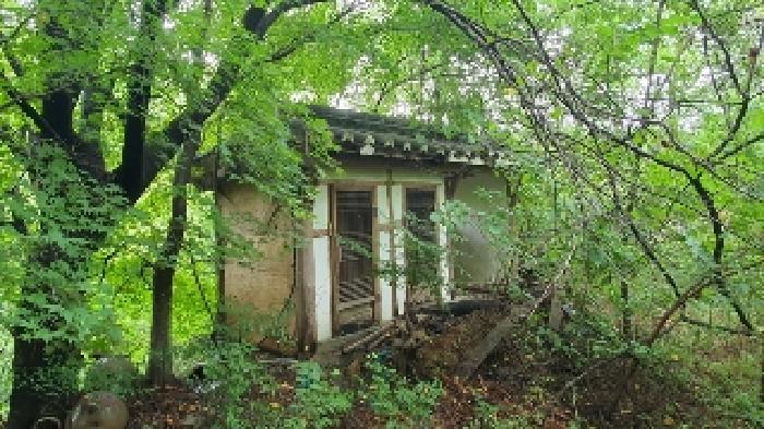 물건 사진 19