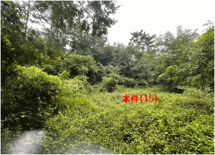물건 사진 31
