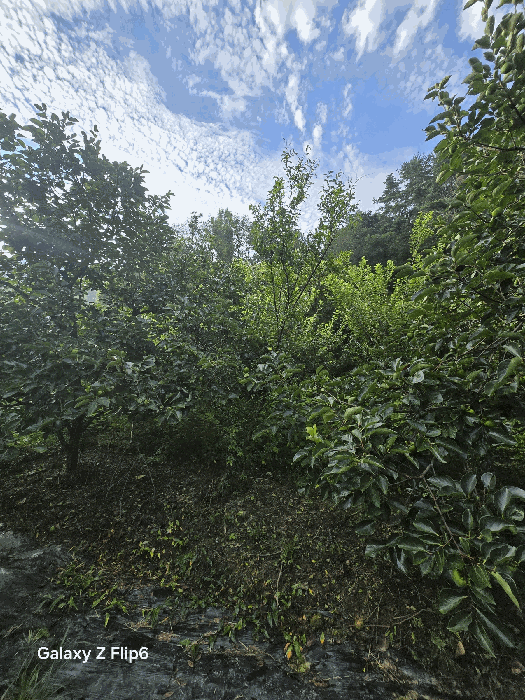 물건 사진 17