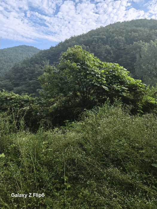 물건 사진 25