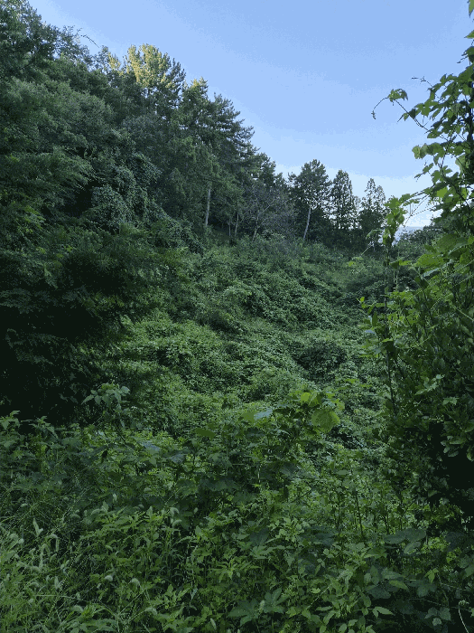 물건 사진 23