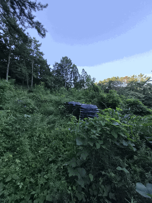 물건 사진 24