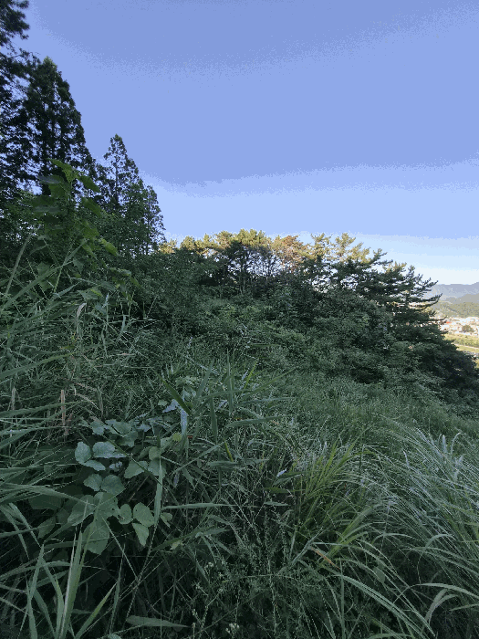물건 사진 31