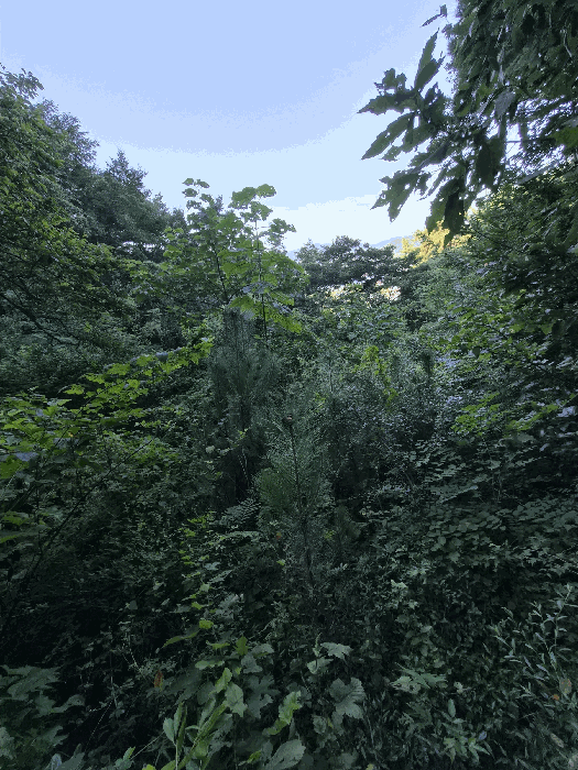 물건 사진 37