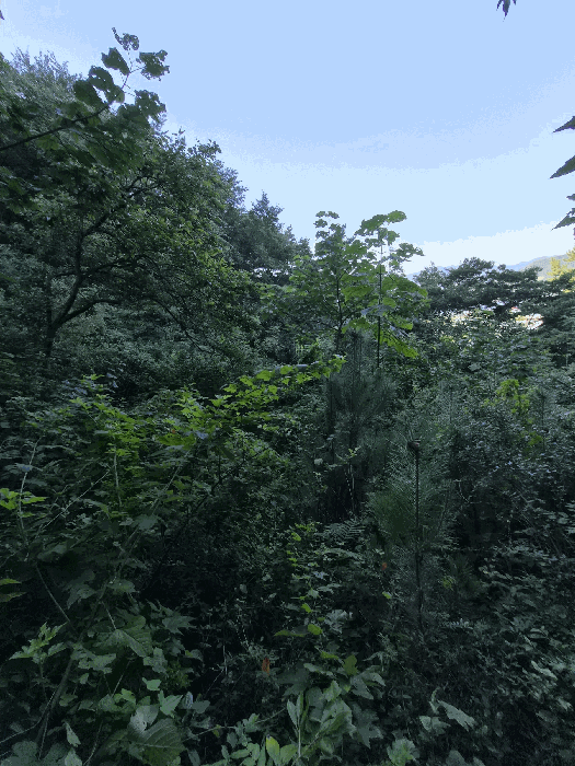 물건 사진 43