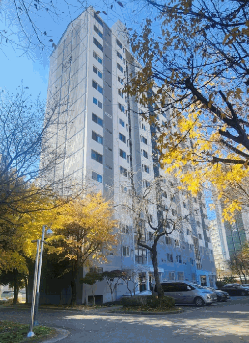 물건 사진 12