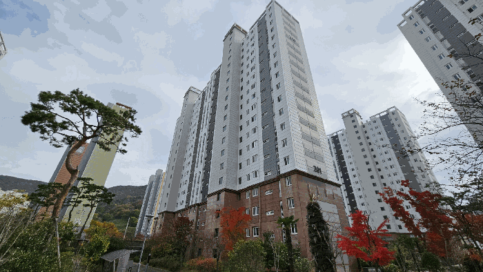 물건 사진 8