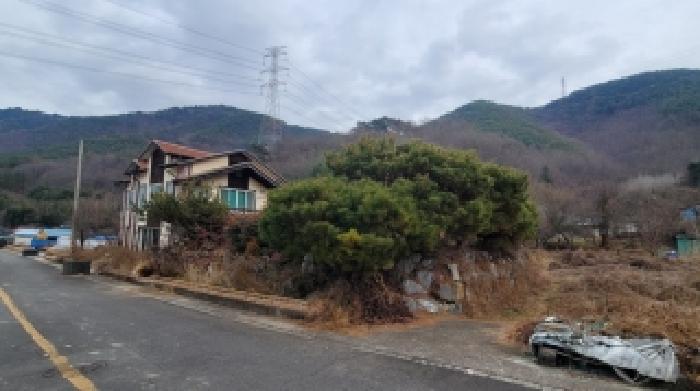 물건 사진 3