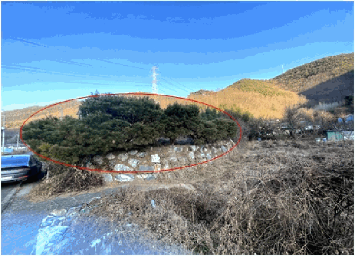 물건 사진 10