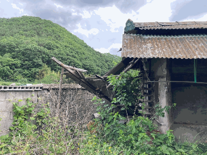 물건 사진 14