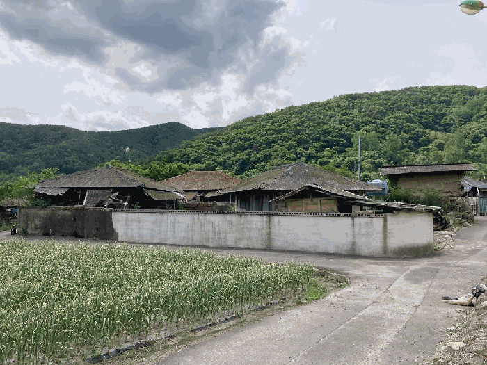물건 사진 18