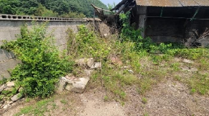 물건 사진 7