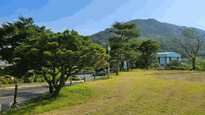 물건 사진 26
