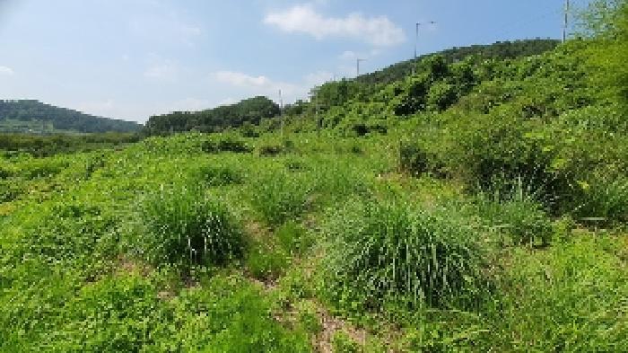 물건 사진 2