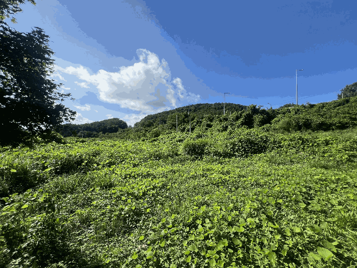 물건 사진 10