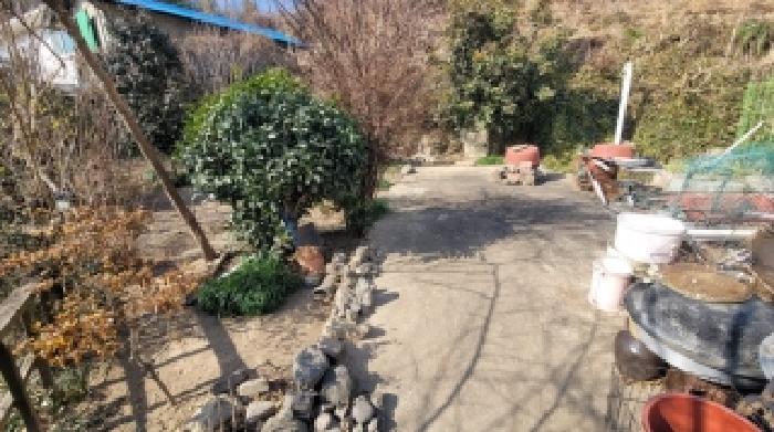 물건 사진 5
