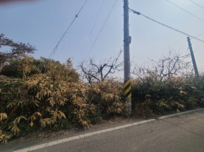 물건 사진 31