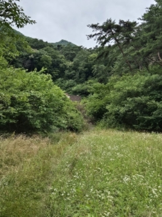 물건 사진 15