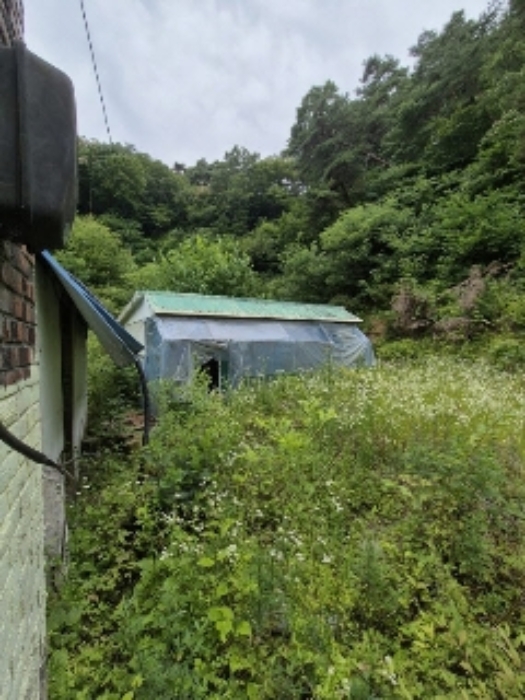 물건 사진 25