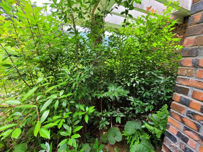 물건 사진 50