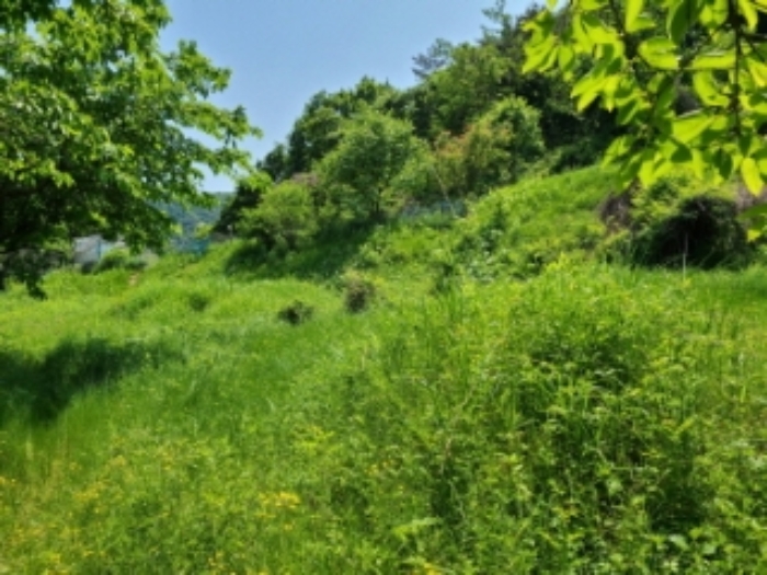 물건 사진 1
