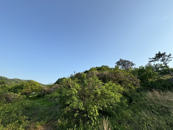 물건 사진 6