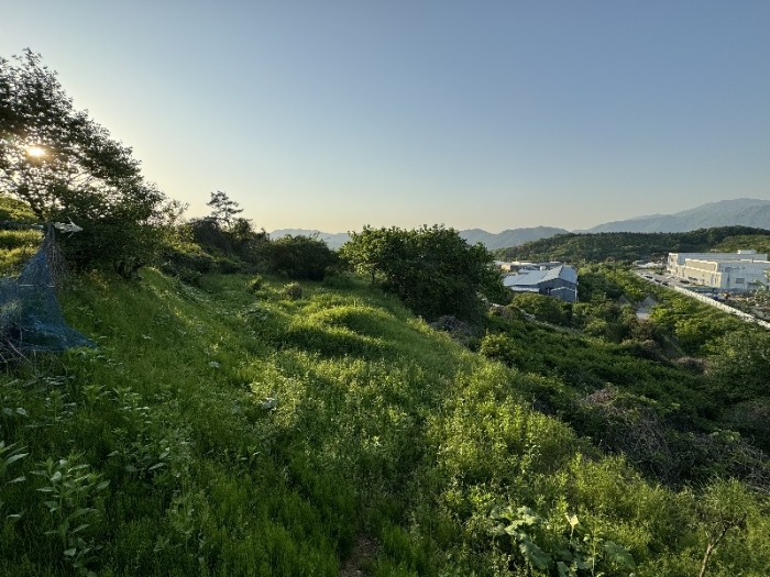 물건 사진 8