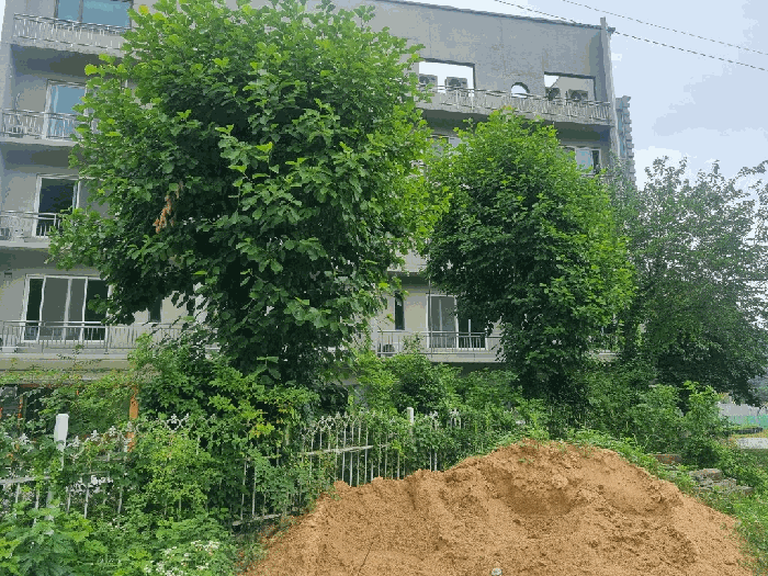 물건 사진 27