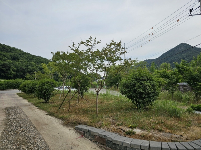 물건 사진 24