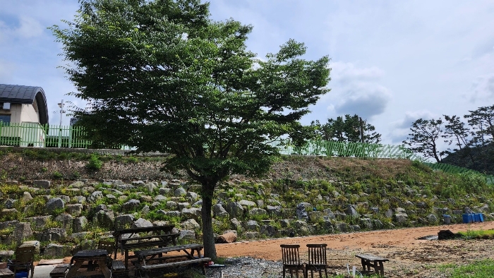물건 사진 28