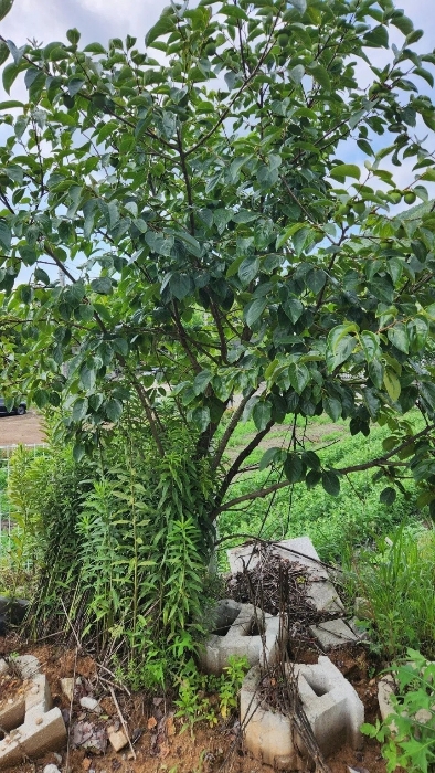 물건 사진 29