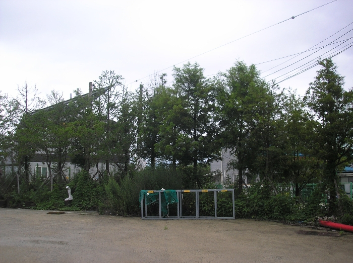 물건 사진 32