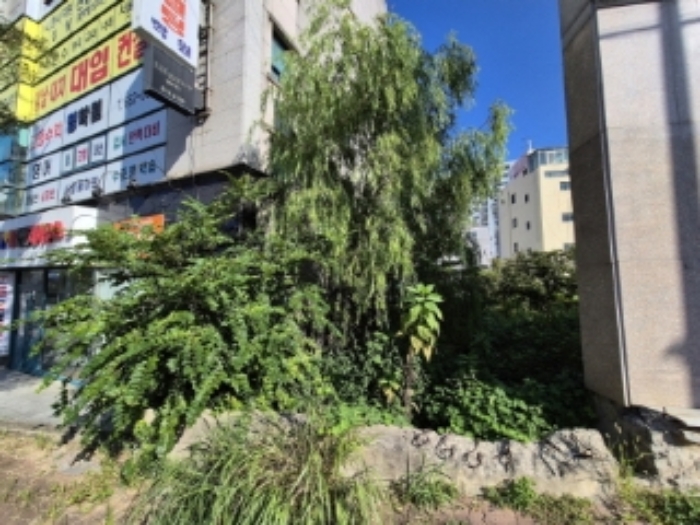 물건 사진 1