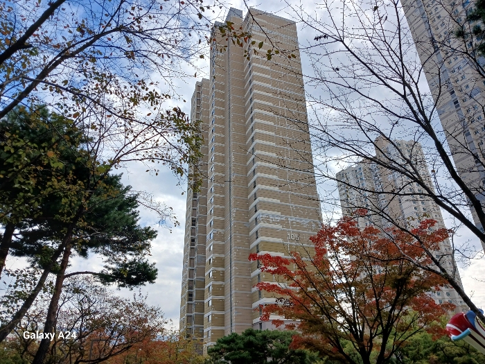 물건 사진 7