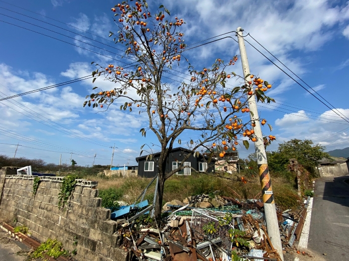 물건 사진 12