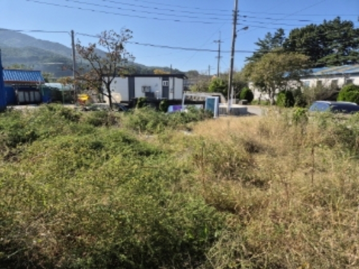 물건 사진 6