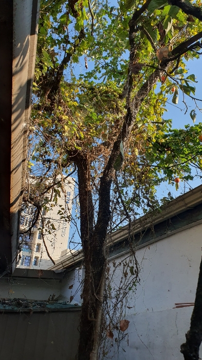 물건 사진 18
