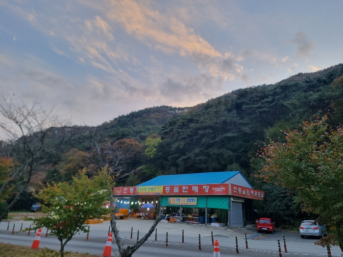 물건 사진 58