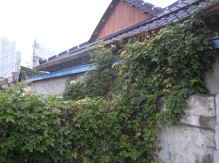 물건 사진 15
