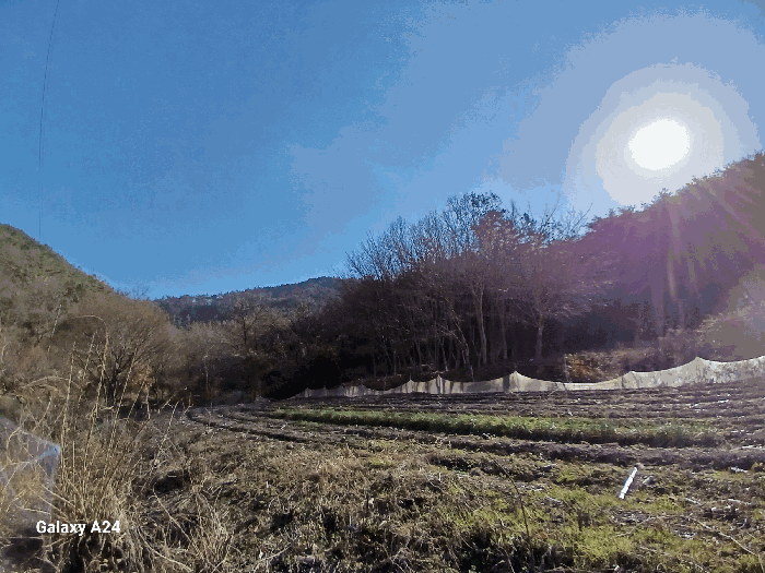 물건 사진 44