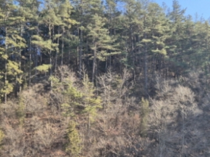 물건 사진 17