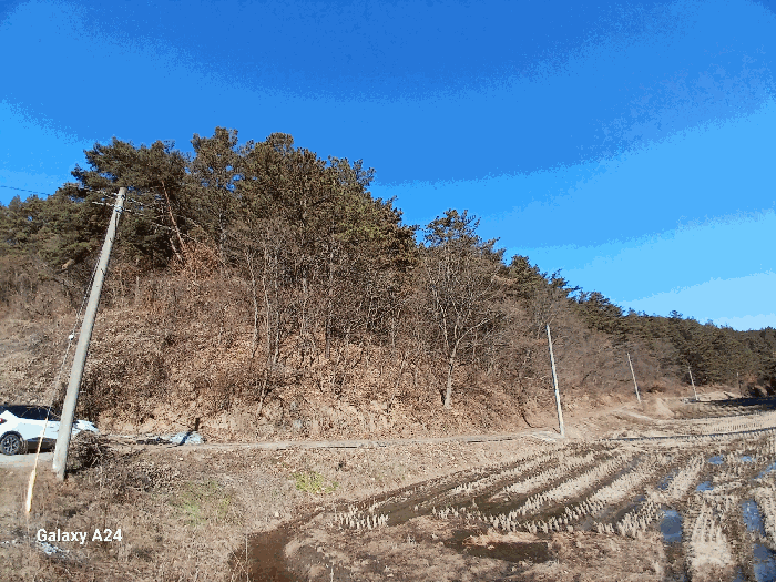 물건 사진 68
