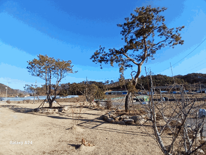 물건 사진 71