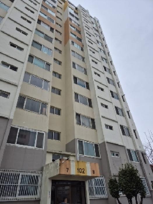 물건 사진 1