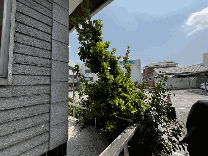 물건 사진 19