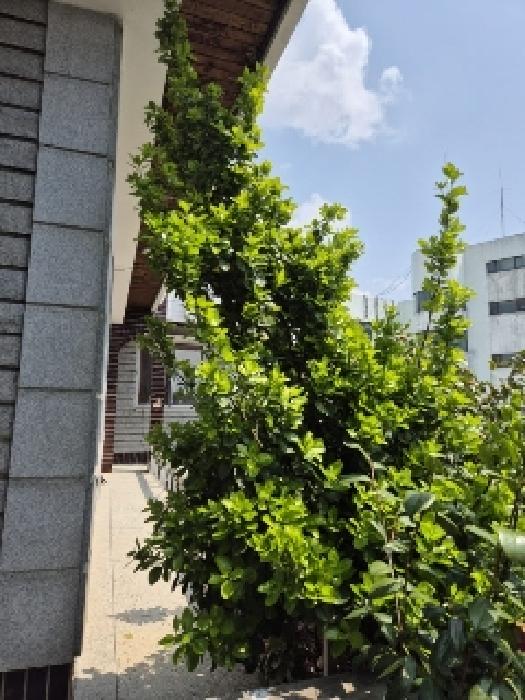 물건 사진 3