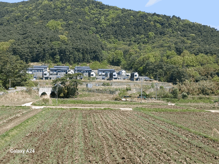 물건 사진 21