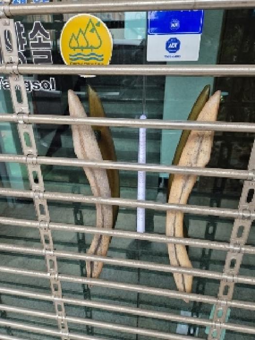 물건 사진 11
