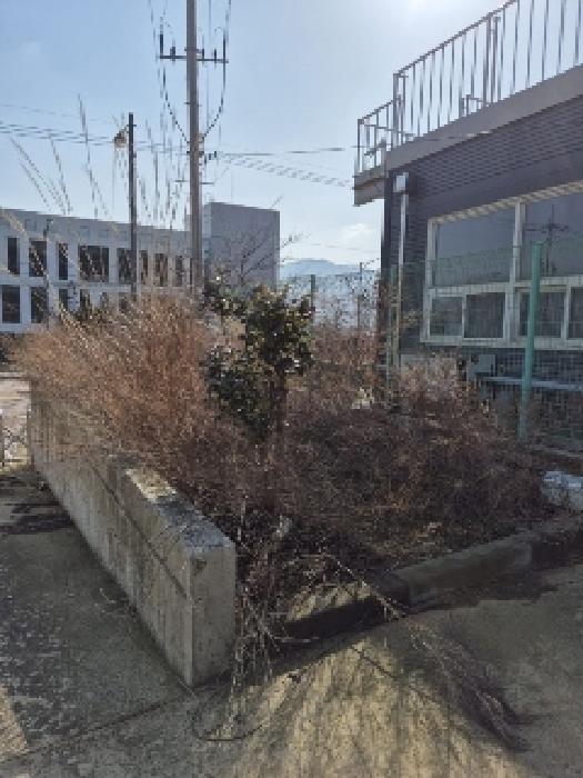 물건 사진 2
